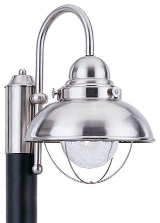 Generation Lighting Lighting 1-Light Outdoor Post Lantern, Brushed Stainless