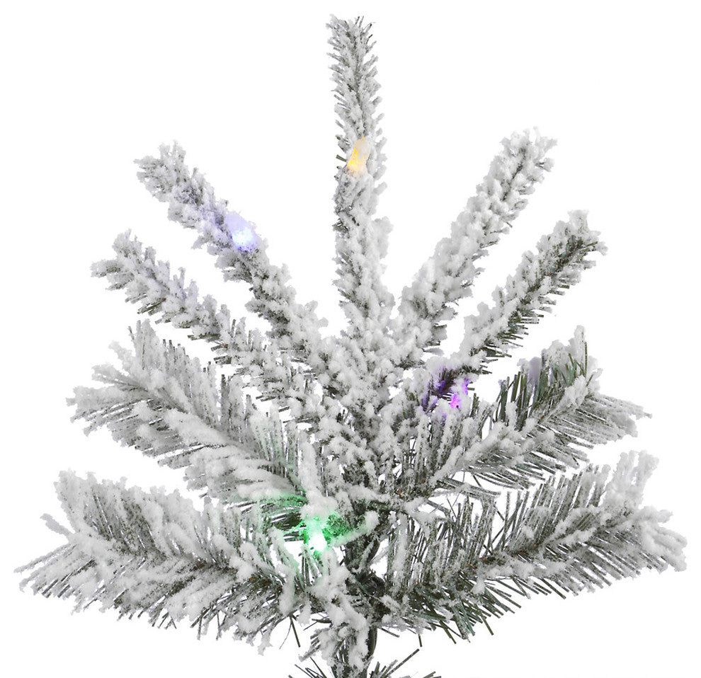6.5' X 48" Flocked Slim Sierra 550Mu Led