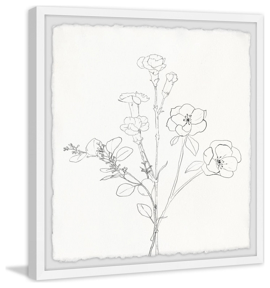 "Flower Sketch" Framed Painting Print, 24x24