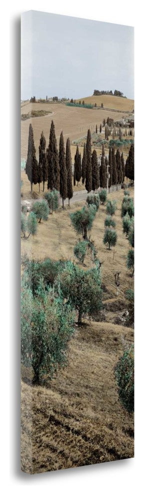 "Tuscany - 13" By Alan Blaustein, Giclee Print on Gallery Wrap Canvas