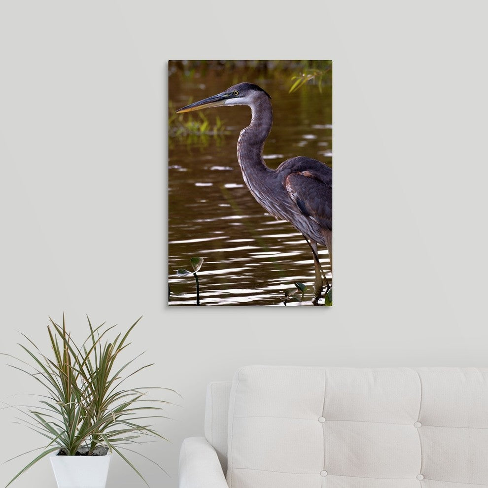 "Heron" Wrapped Canvas Art Print, 16"x24"x1.5"
