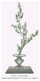 Sasankwa (Camellia Sasanqua) in a Usubata - Gallery Wrapped Canvas Art 28" x 42"