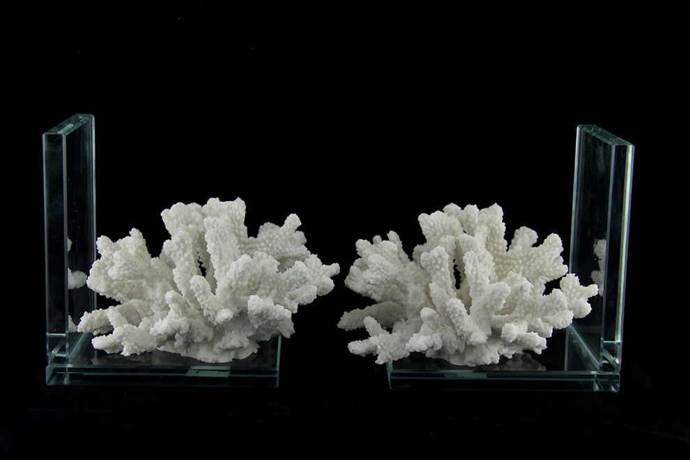 2-Piece White Coral On Glass Coastal Bookend Set