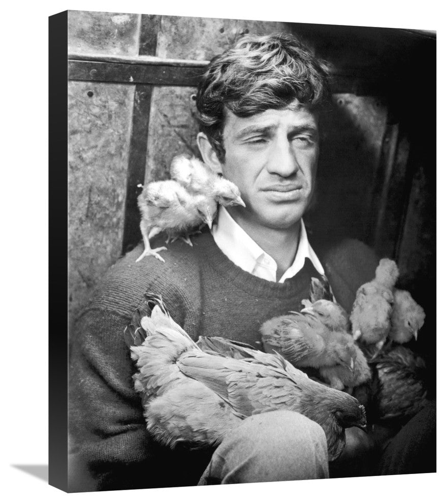 "Jean Paul Belmondo" Stretched Canvas Giclee by Hollywood Photo Archive, 18"x22"