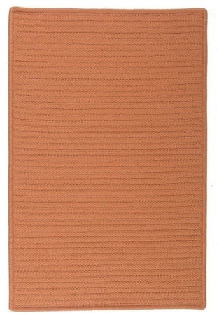 Simply Home Solid H073 Rust Indoor/Outdoor Area Rug, Rectangular 3'x5'