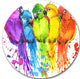 Colorful Parrots Illustration, Animal Round Wall Art, 11"