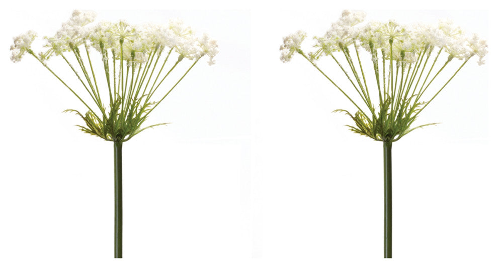 Queen Anne's Lace Stem, Set of 2