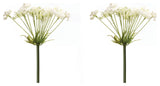 Queen Anne's Lace Stem, Set of 2
