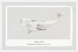 "Beluga Whale" Framed Painting Print, 36x24