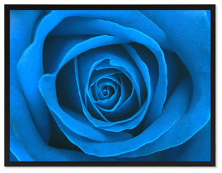 Blue Rose Flower Print on Canvas with Picture Frame, 28"x37"