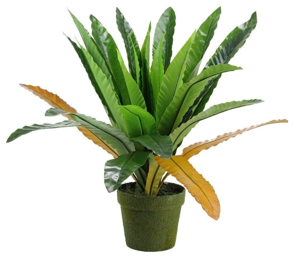 22" Decorative Potted Artificial Green and Brown Bird Nest Fern Plant