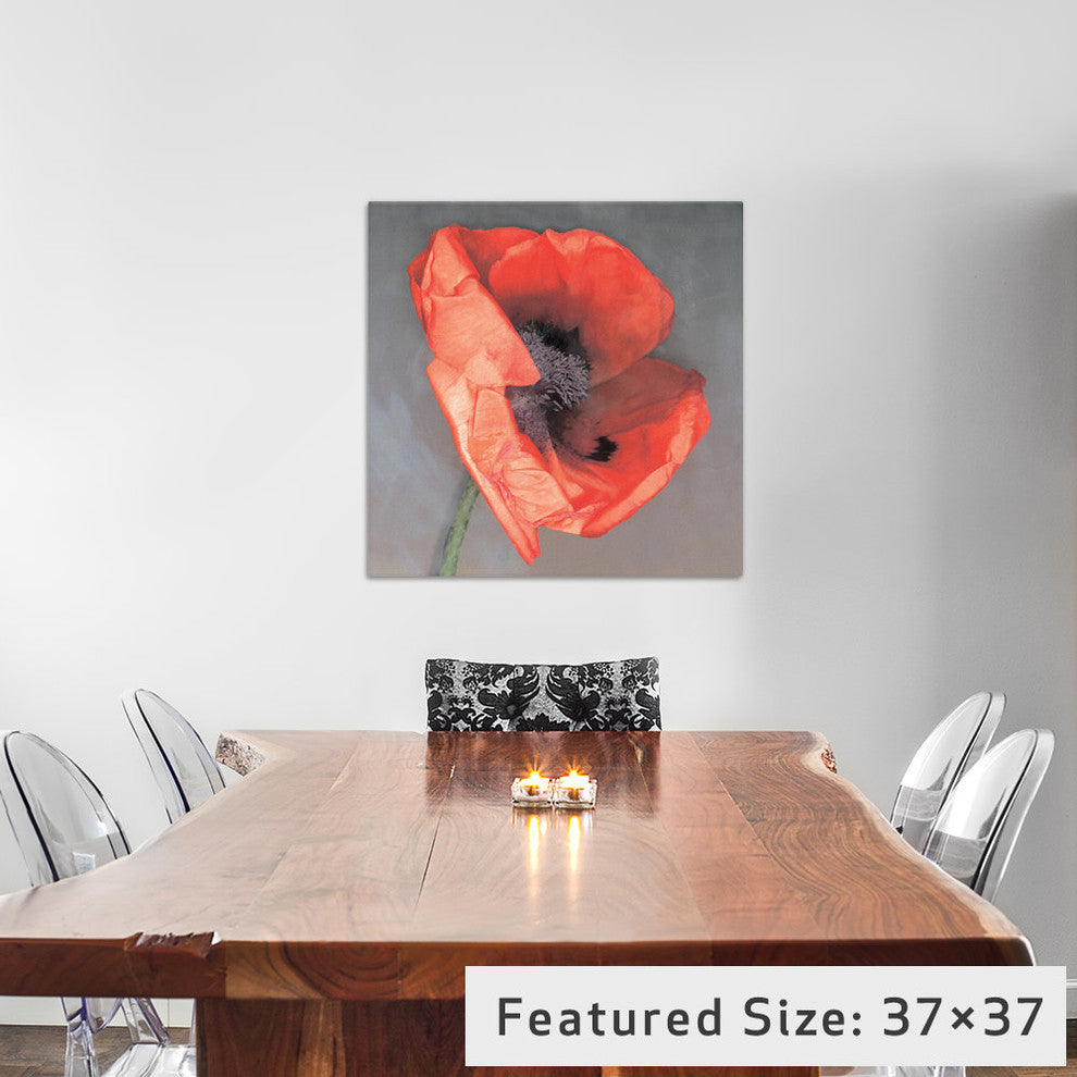 "Rossa" by Erin Clark, Canvas Print, 18"x18"