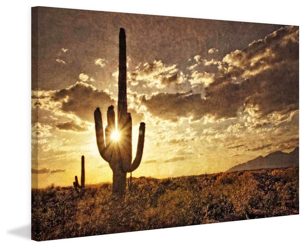 "Sonoran Silhouette" Painting Print on Canvas by Robertson