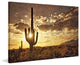 "Sonoran Silhouette" Painting Print on Canvas by Robertson