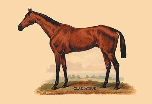 Gladiateur - Fine Art Giclee Print 24" x 36"