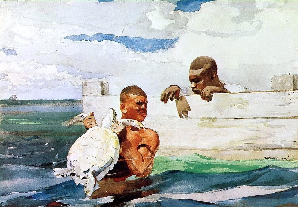 Winslow Homer The Turtle Pond, 18"x27" Gallery Wrapped Canvas Print