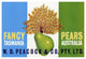 "Peacock Pears" Digital Paper Print by Retrolabel, 42"x29"