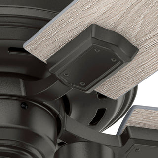 Hunter 52" Hartland Noble Bronze Ceiling Fan With LED Light Kit and Pull Chain