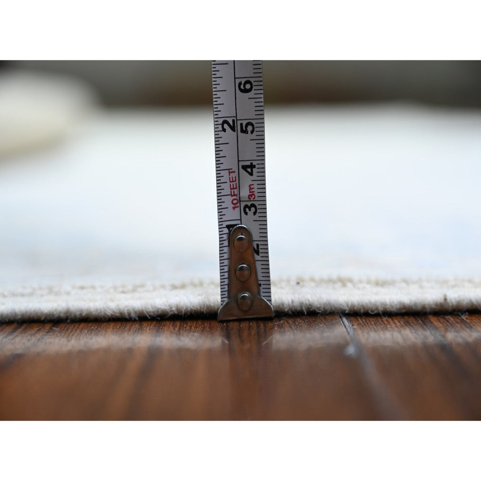 Broken White Peshawar Washed Out Faded Colors Hand Knotted Rug, 3'10"x5'9"