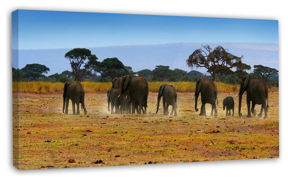 Memory of African Wild Elephants, African Canvas Art Print, 32"x16"