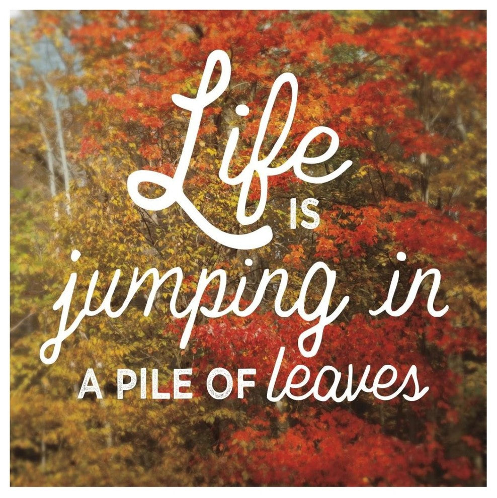 "Life is for Jumping" Digital Paper Print by Sue Schlabach, 42"x42"