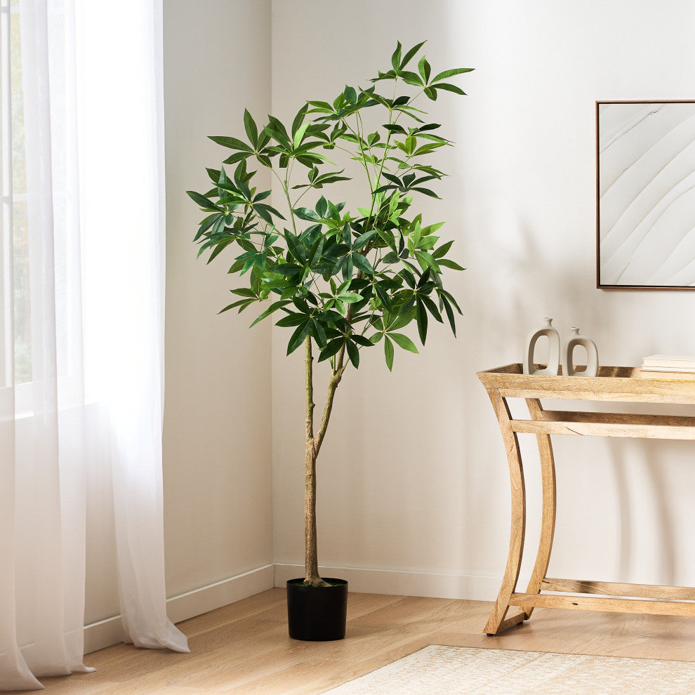Coles Artificial Money Tree, Green, 35.4wx31.5dx70.9h