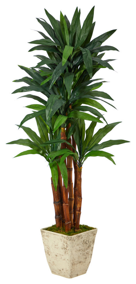 5' Dracaena Artificial Tree, Country White Planter