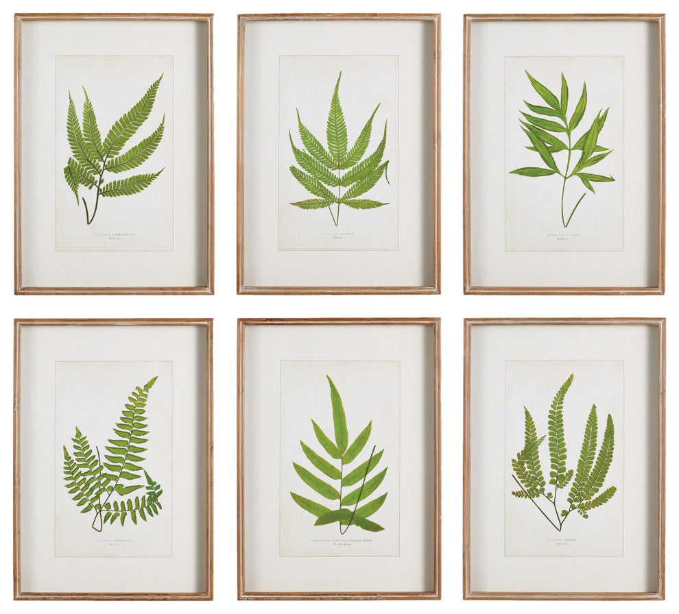 Vintage Style Set of 6 Forest Leaf Prints Fern Tree Leaves Green Tree Woodland