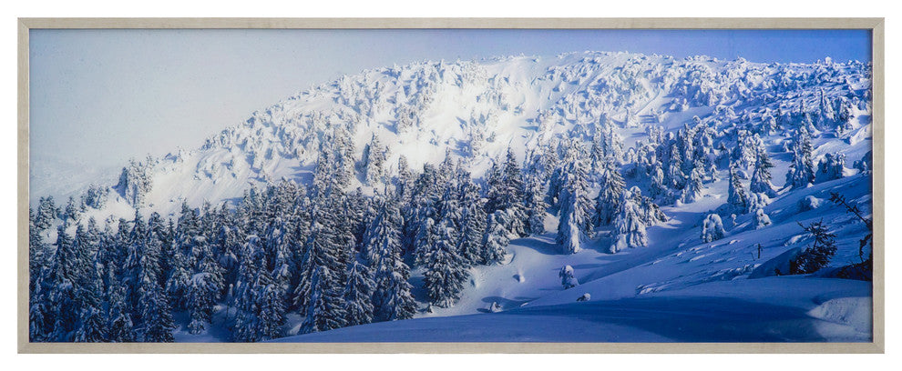 Alpine Landscape