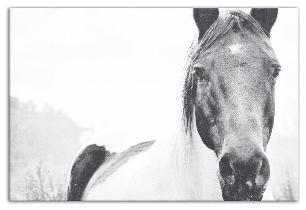 Black and White Lone Horse 20x30 Canvas Wall Art