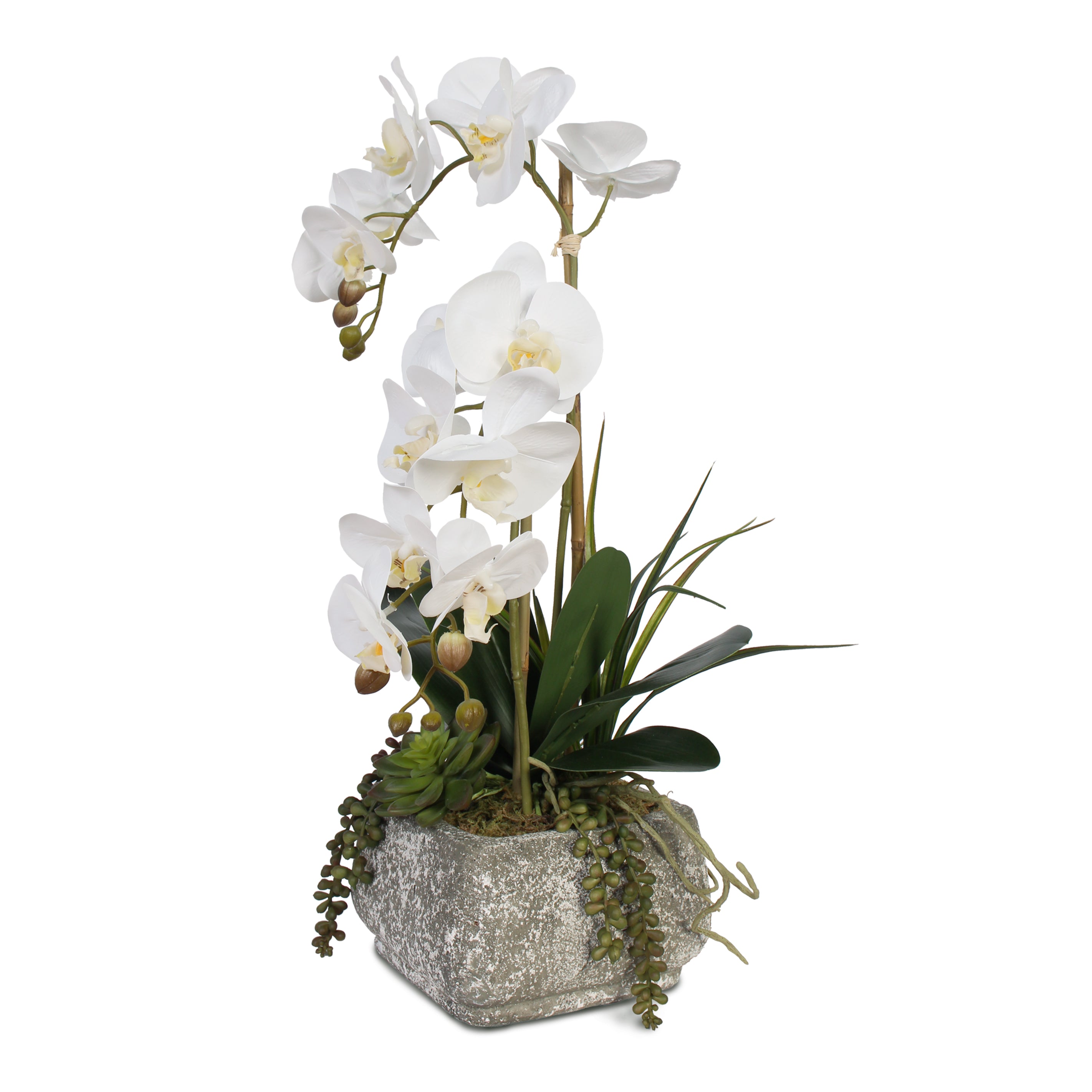 Real Touch Phalaenopsis Orchids With Succulents, Concrete Pot
