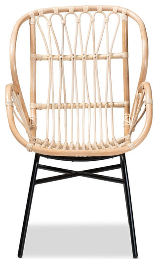 Caelia Modern Bohemian Natural Brown Rattan and Black Metal Chair