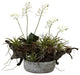 Orchid and Succulent Garden With Driftwood and Decorative Vase