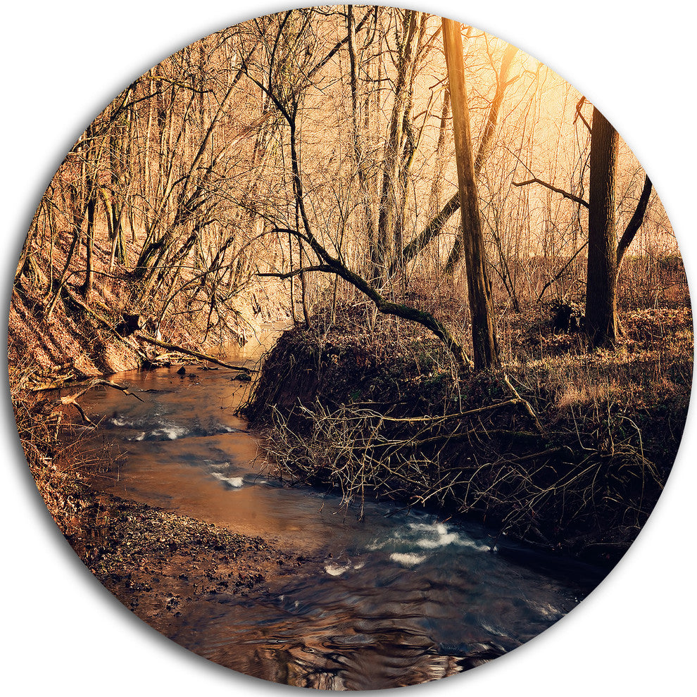 Brown Creek In National Park, Modern Forest Round Metal Wall Art, 11"