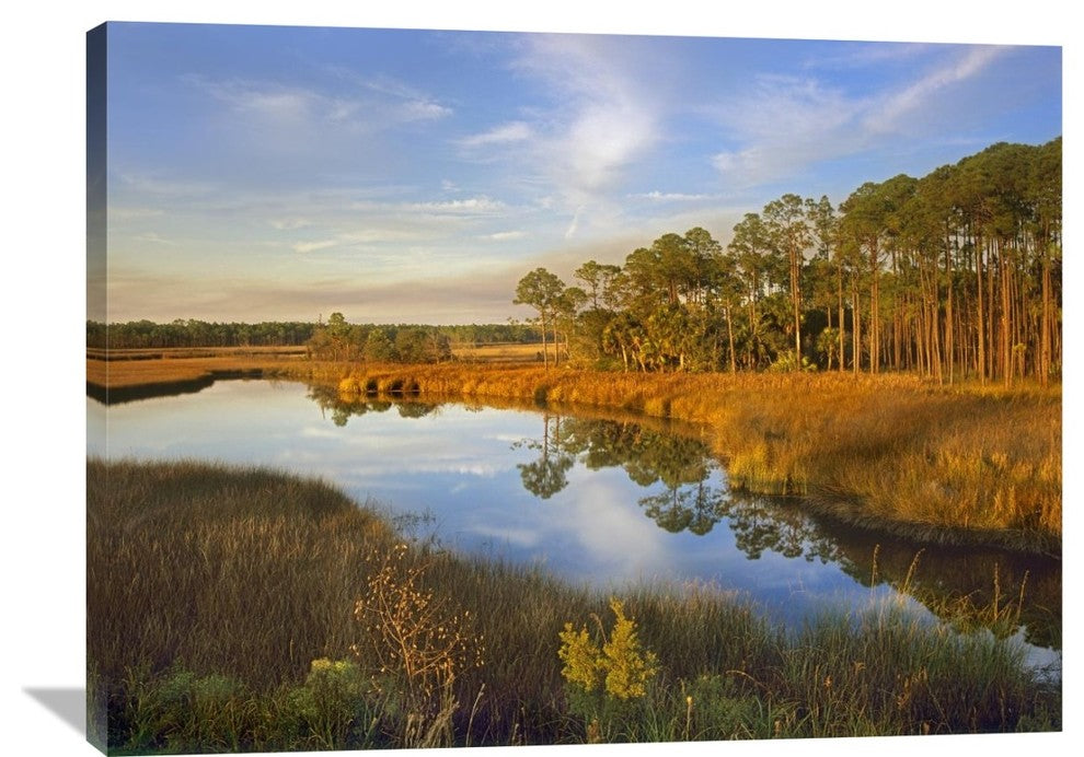 "Lake Near Apalachicola, Florida" Artwork, 40" x 30"