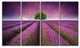 Lavender Field Sunset with Single Tree, Floral Canvas Print, 48"x28", 4 Panels