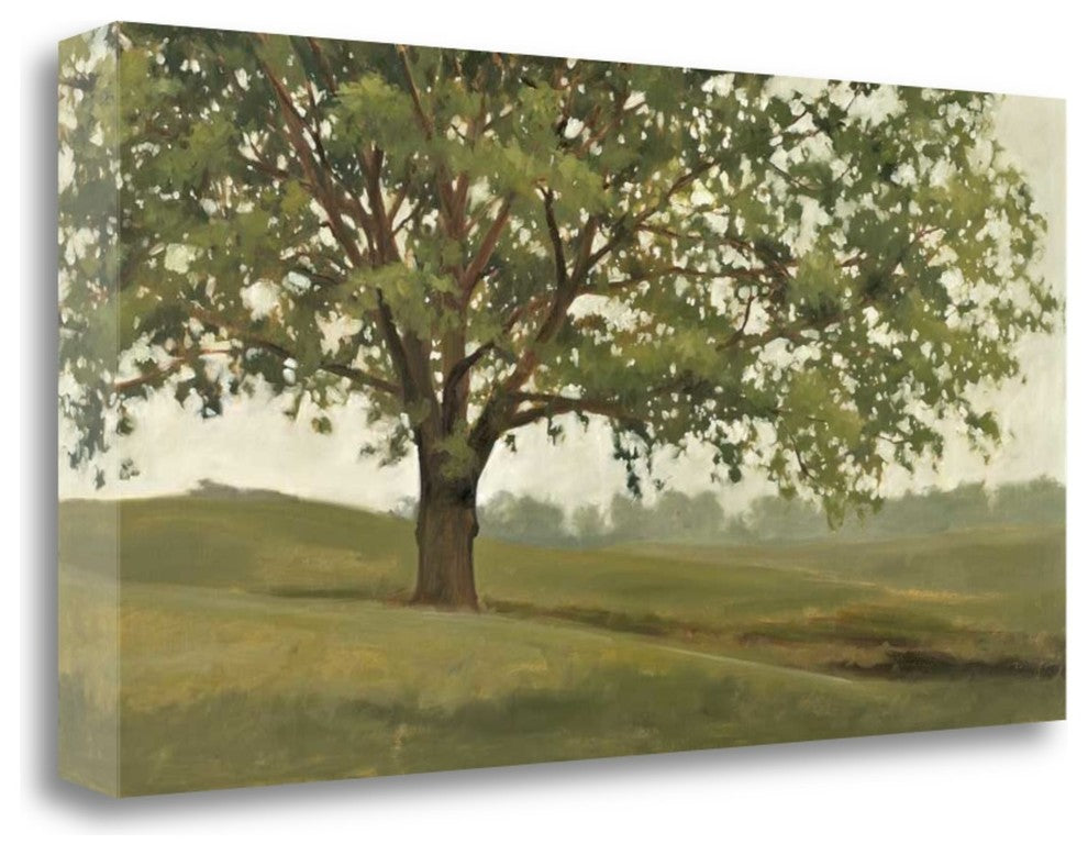 "Wisdom Grows" By Megan Lightell, Giclee Print on Gallery Wrap Canvas
