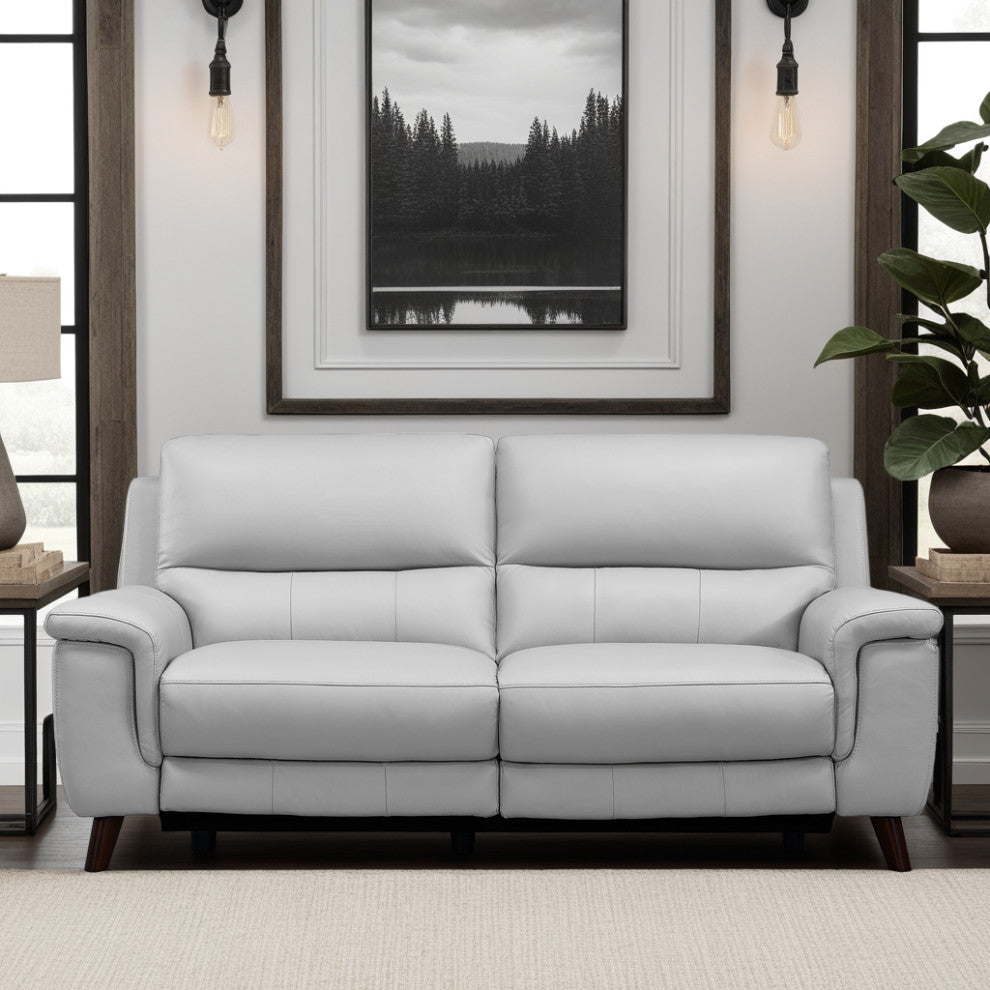 Lizette Sofa, Dark Brown Wood Finish and Dove Gray Genuine Leather