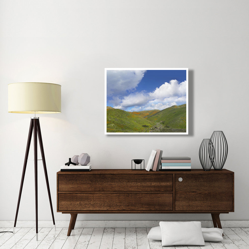 "Temescal Hills, southern California" Paper Print by Tim Fitzharris, 42"x32"