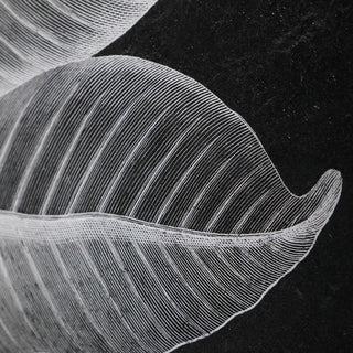 Uttermost Foliage Plastic Glass and Wood Framed Prints in Multi-Color (Set of 6)