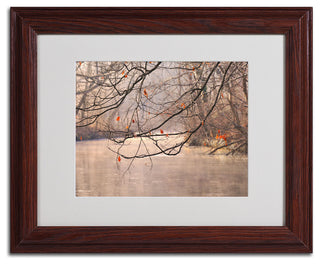 'Skylight' Matted Framed Canvas Art by Philippe Sainte-Laudy