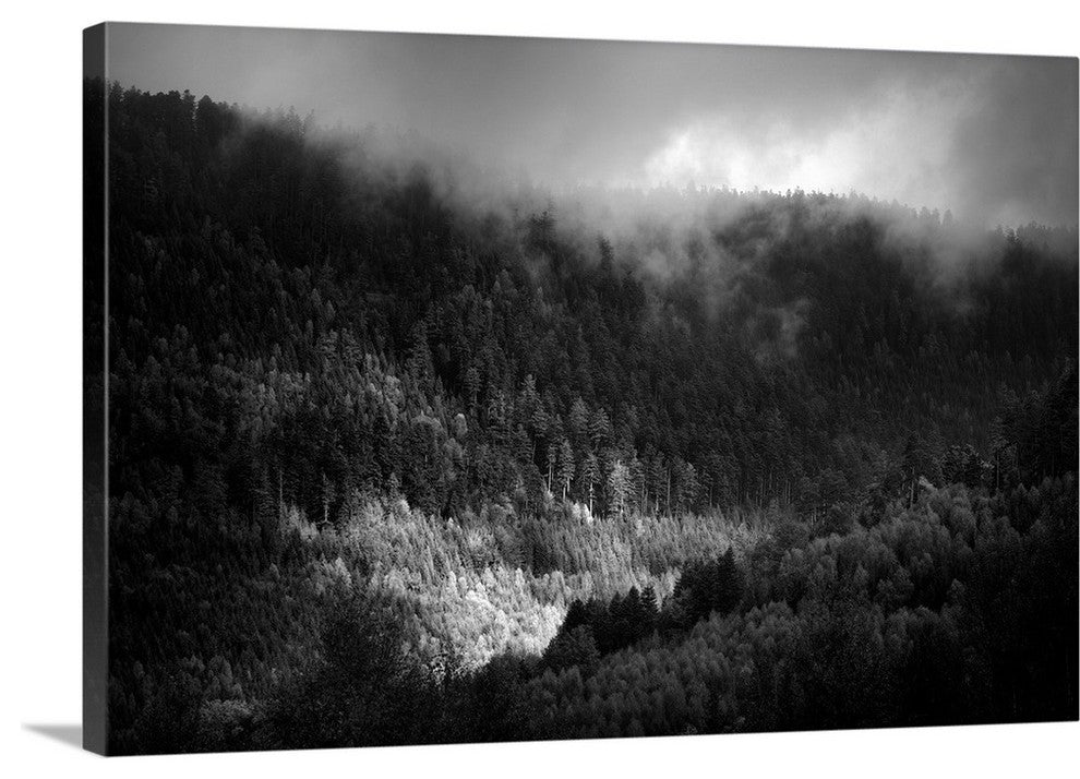 "Somewhere We belong" Wrapped Canvas Art Print, 48"x32"x1.5"