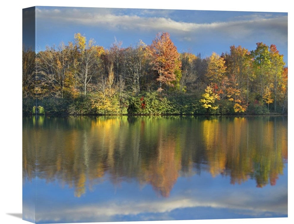 "Deciduous Forest Along Price Lake, Blue Ridge Parkway, North Carolina" Artwork