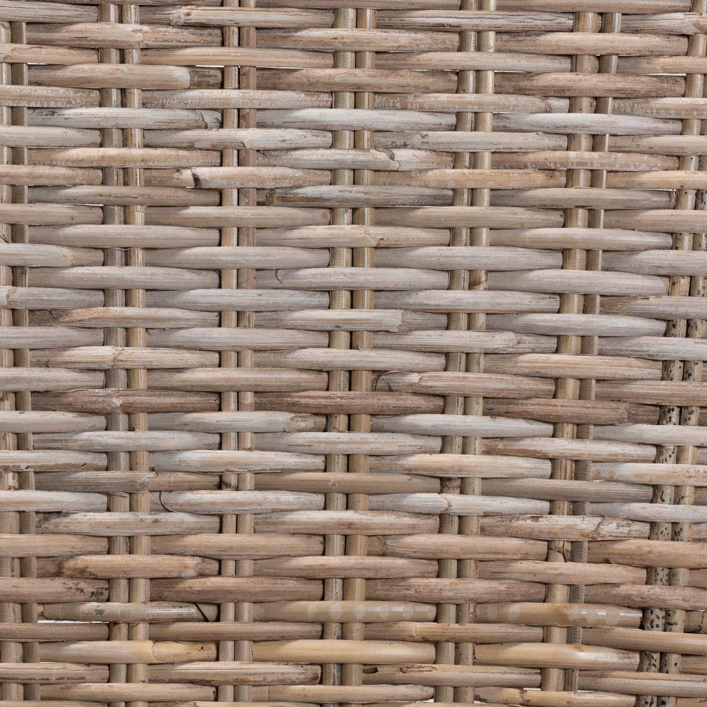 Denisse Modern Rattan and Wood Dining Chair