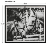 Uttermost Apple Of My Eye Framed print