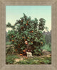 Picking Citrus