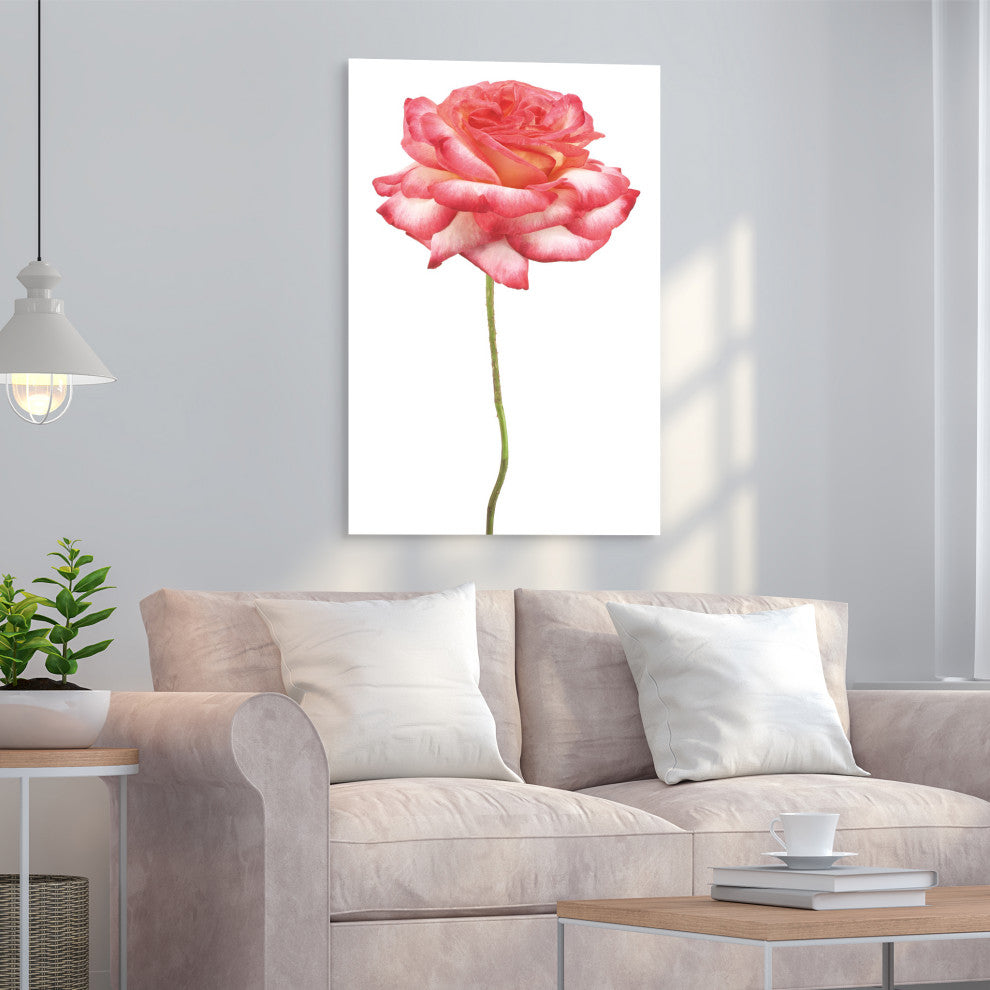 Pink Rose Wall Art Frameless Free Floating Tempered Art Glass, 32"x 48"