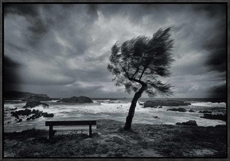 "Today No One" Framed Canvas Giclee by Mikel Lastra, 23x16"