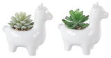 White Ceramic Llama With Succulent, 5.5", Set Of 2