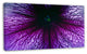 Abstract Purple Floral Design, Floral Canvas Art Print, 32"x16"
